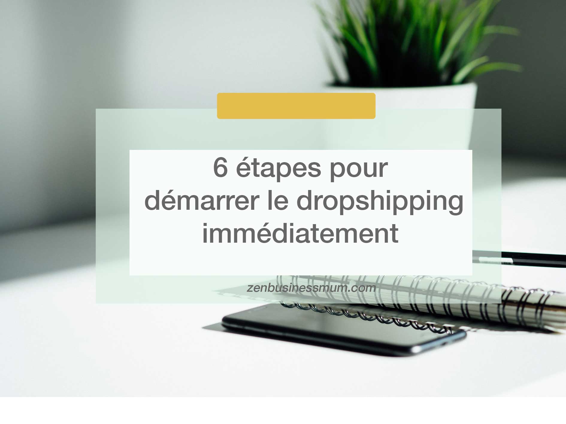 commencer dropshipping