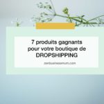 produits gagnants dropshipping