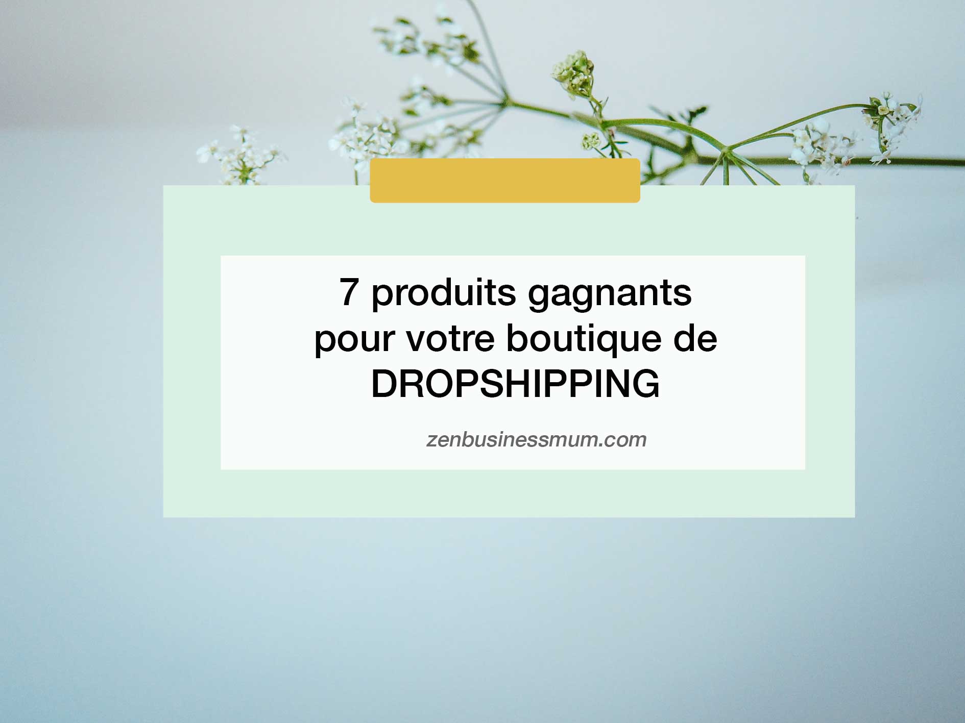 produits gagnants dropshipping