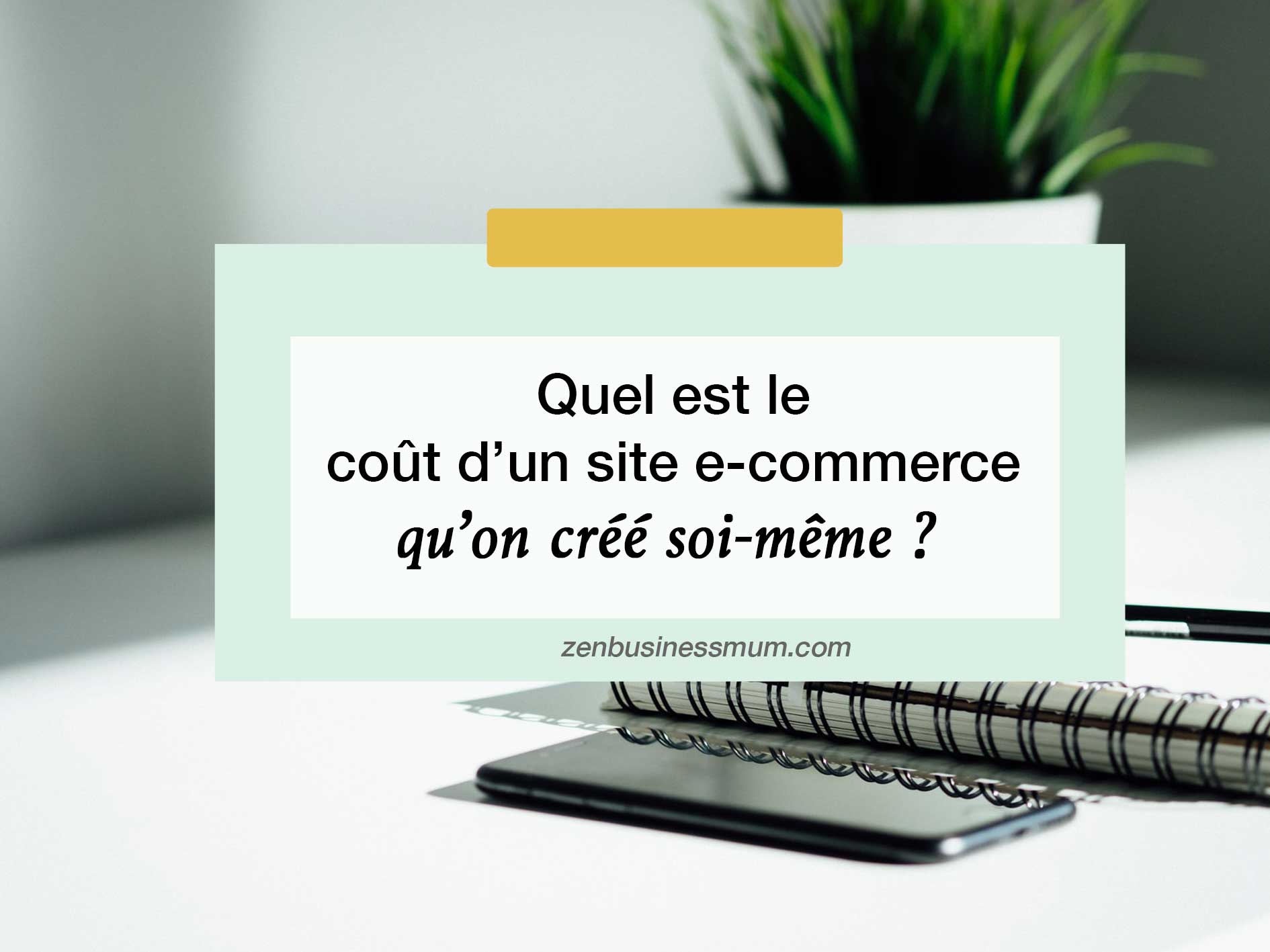 coût site e-commerce